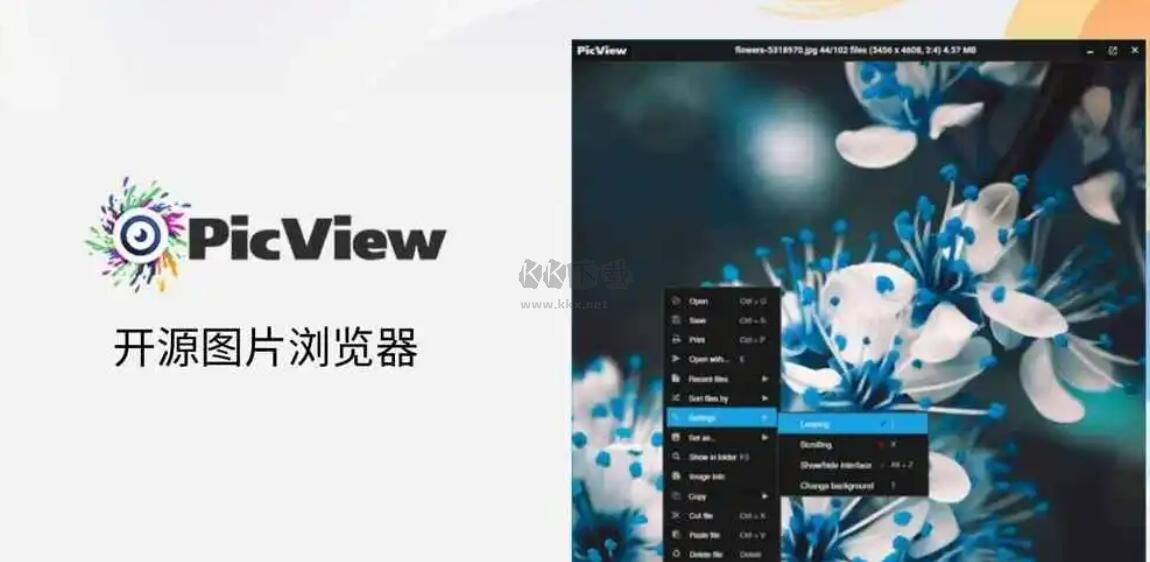PicView圖片瀏覽