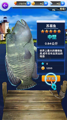 全民釣魚