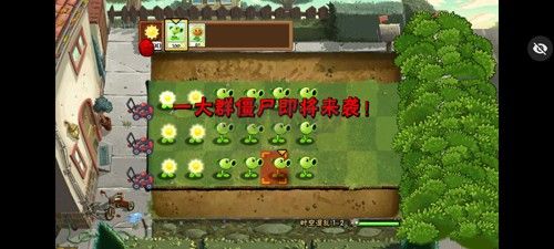 植物大戰僵尸內置作弊菜單版