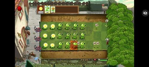 植物大戰僵尸內置作弊菜單版