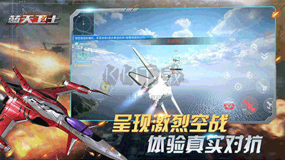 藍天衛士