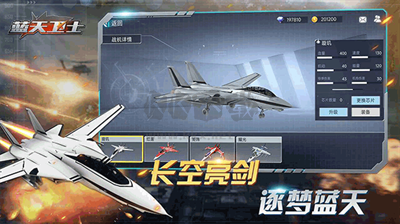 藍天衛士
