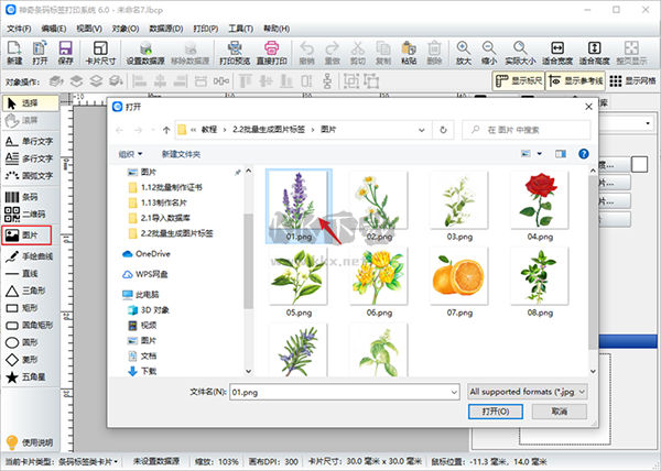 神奇條碼標簽打印系統標準版