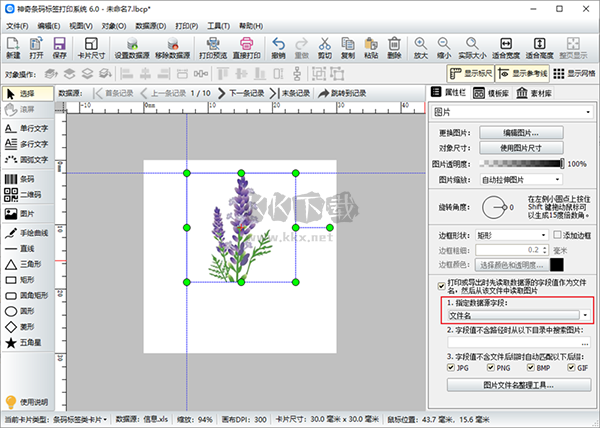 神奇條碼標簽打印系統標準版