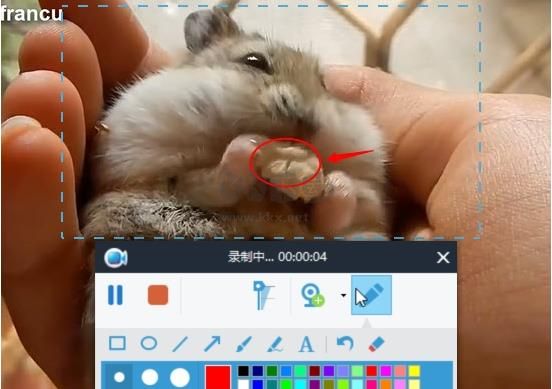 Apowersoft錄屏王截圖