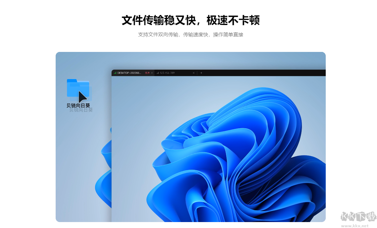 向日葵客戶端企業版pc端