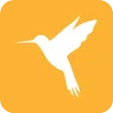 Reqable專業(yè)版 v2.13.0 