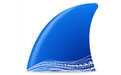 網(wǎng)絡(luò)抓包工具(wireshark) v4.2.5 最新版