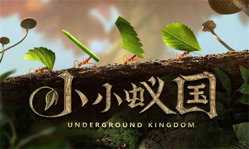 小小蟻國安卓版
