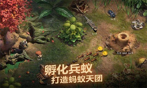 小小蟻國安卓版