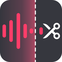 金舟音頻大師免費版 v2.1.8專業版