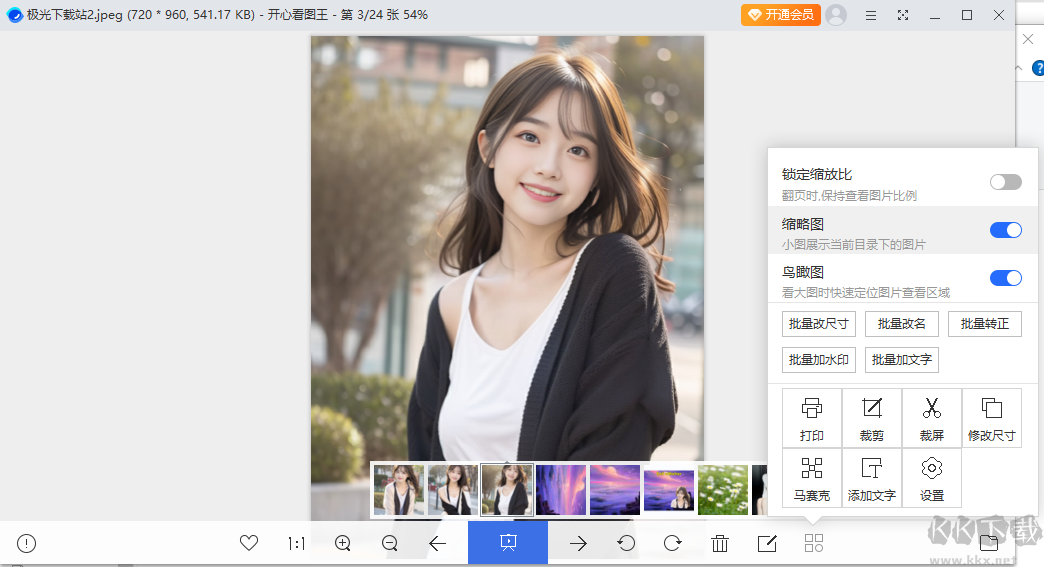 開心看圖王專業版