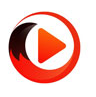 搜狐影音無廣告版 v7.1.0.1綠色版