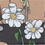 隨心音樂專業版 v4.3