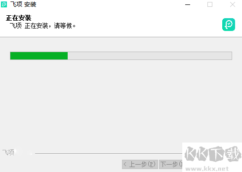 飛項正版