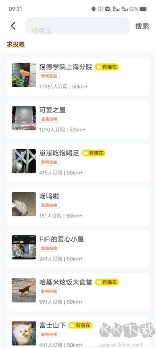 哈啰街貓最新版本