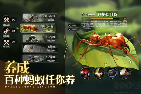 小小蟻國內置菜單版