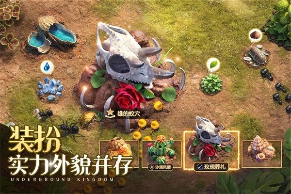 小小蟻國內置菜單版