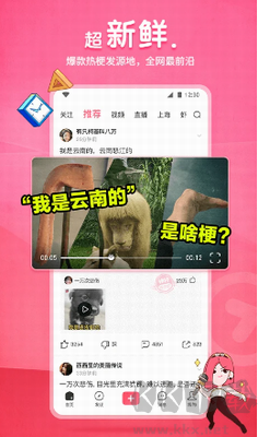 皮皮蝦官網(wǎng)版