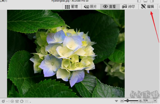 照片查看器專業版
