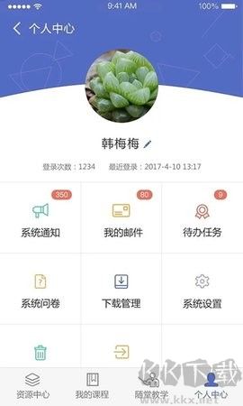 dolphin模擬器官網版