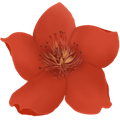 小紅花音效助手綠色版