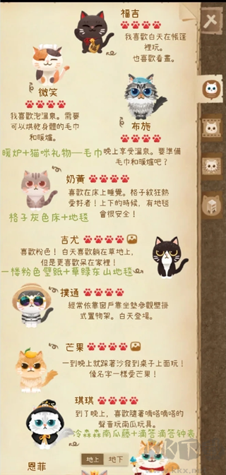 貓咪的秘密森林2025