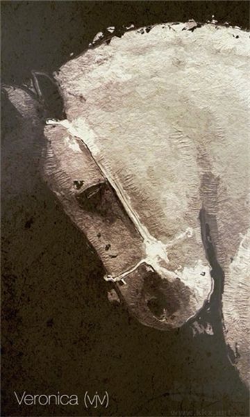 油畫濾鏡相機(Glaze)