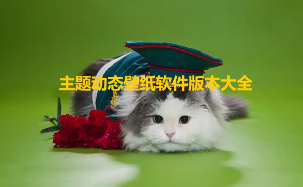 主題動態(tài)壁紙app軟件版本合集-熱門必備主題動態(tài)壁紙軟件推薦-主題動態(tài)壁紙app軟件大全