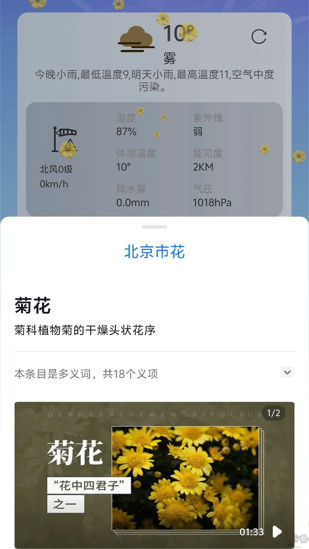 繁花天氣預報最新版