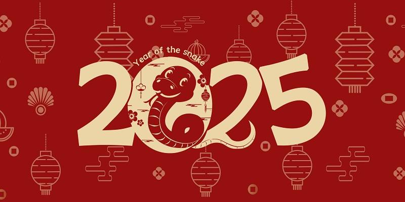 新年看直播春晚必備軟件推薦-免費看春晚軟件排行榜-2025央視春晚直播平臺