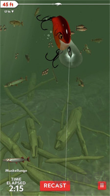 3D真實(shí)釣魚(yú)中文版
