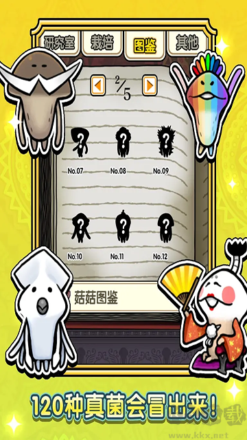 蘑菇花園標準版