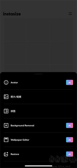 InstaSize免費版