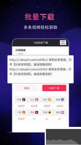 飛狐去水印