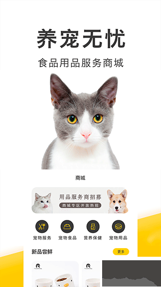 買只寵物