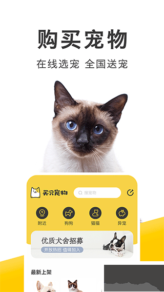買只寵物