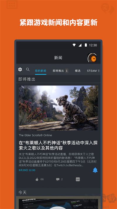 steam