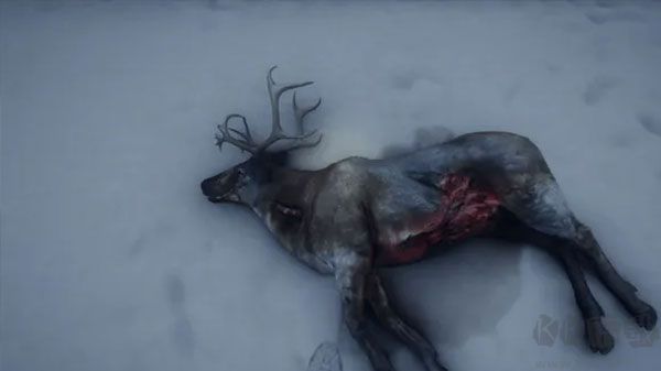 獵人：荒野的召喚三十四項修改器電腦版