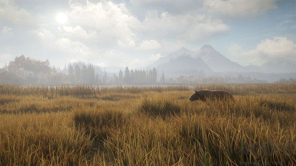 獵人：荒野的召喚三十四項修改器電腦版