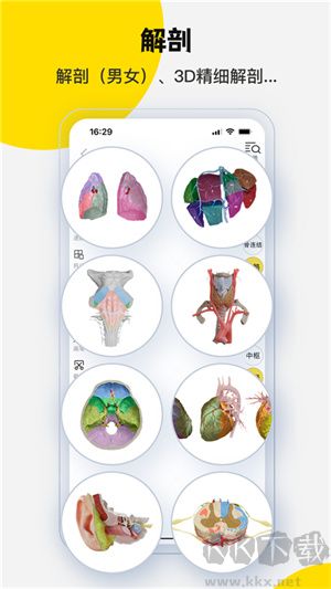 3dbody解剖免費版
